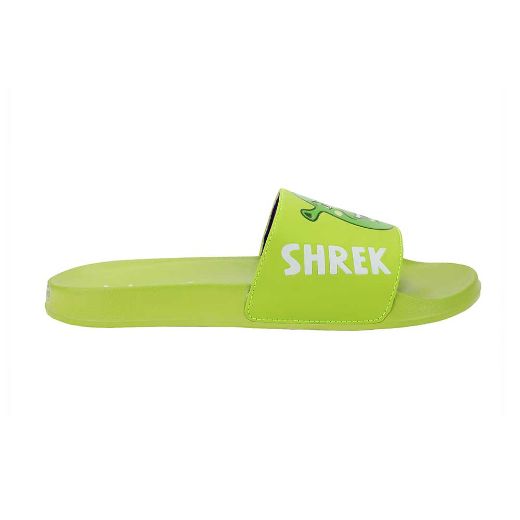 Picture of Dreamworks Shrek & Donkey Slides