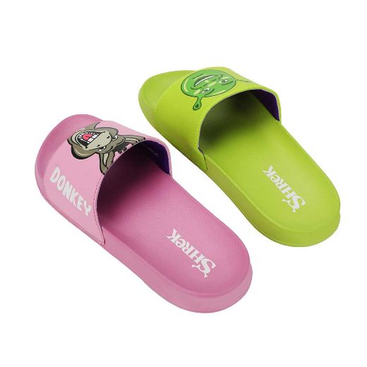 Picture of Dreamworks Shrek & Donkey Slides