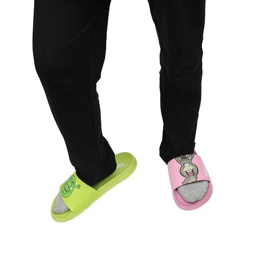 Picture of Dreamworks Shrek & Donkey Slides