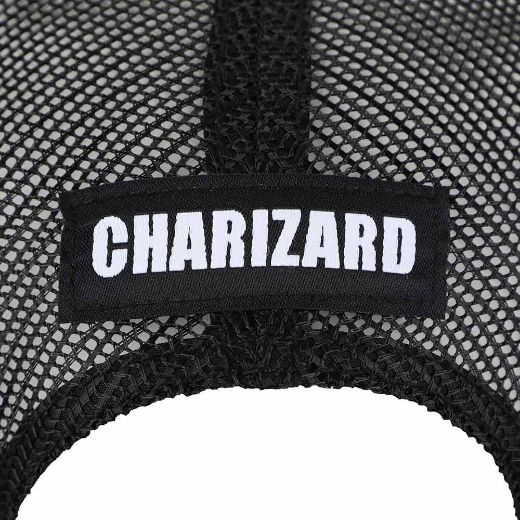 Picture of Pokemon Charizard Fire Type Contrast Trucker